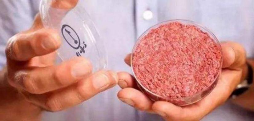 中巴两国企业首次就采购“森林友好型”牛肉达成合作意向