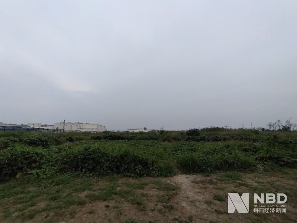 BeyondMeat独家回应嘉兴建厂：将提供三种植物肉未来有望降低定价(图6)