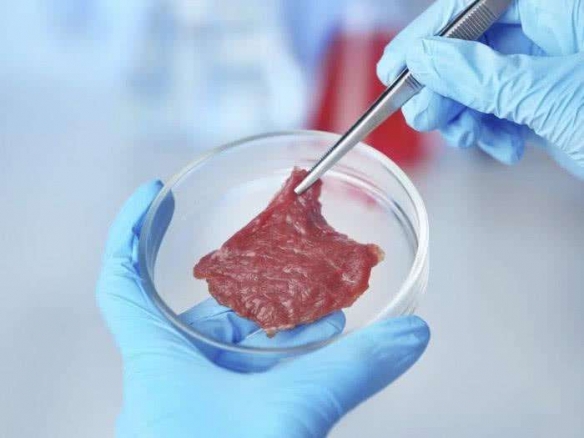 南京农业大学研究团队研制出国产“细胞培养肉”