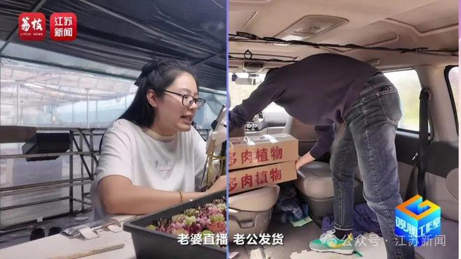 找AI当导师育出罕见热带绿植！宿迁花农赞赞赞(图2)