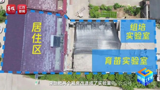 找AI当导师育出罕见热带绿植！宿迁花农赞赞赞(图6)