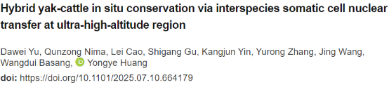 东北大学生命学院实现高海拔地区原位保种新突破