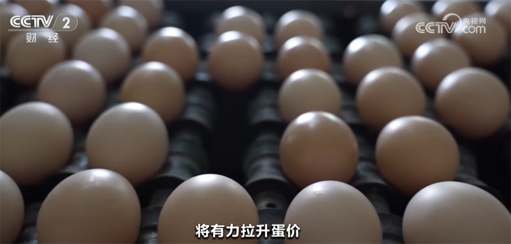 从7月份CPI和PPI看全国消费市场亮点扩内需政策效应持续显现(图8)