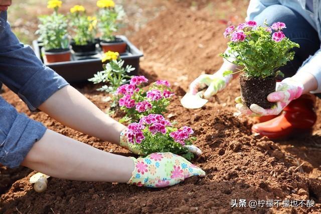 农大女生选专业不用愁！这几个“香饽饽”专业前景好还适合你(图5)