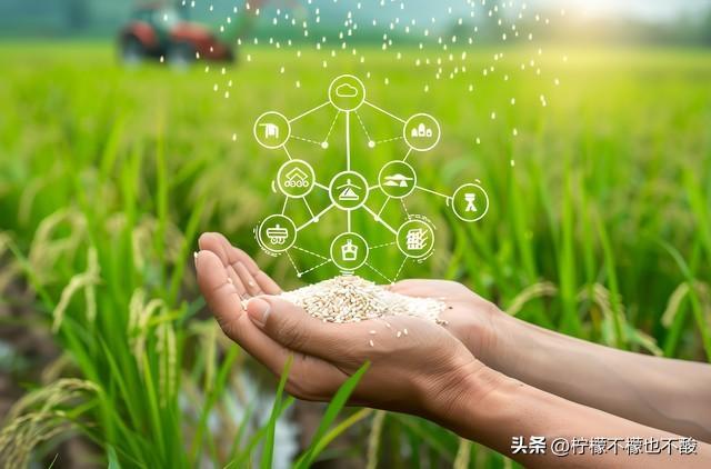 农大女生选专业不用愁！这几个“香饽饽”专业前景好还适合你(图6)