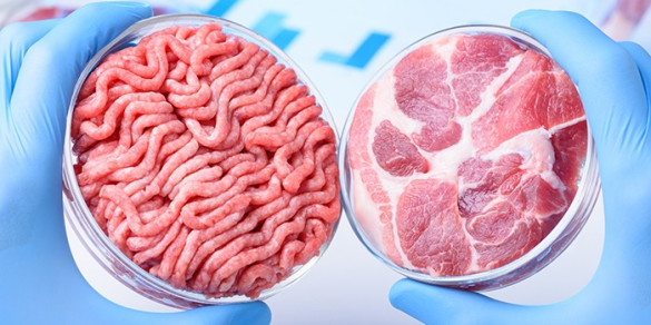 Nature子刊植物肉和细胞培养肉的生产方法综述