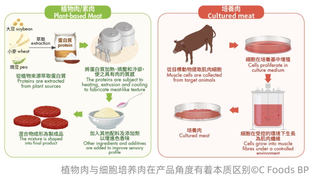 当我们投资细胞培养肉时我们在投资什么？