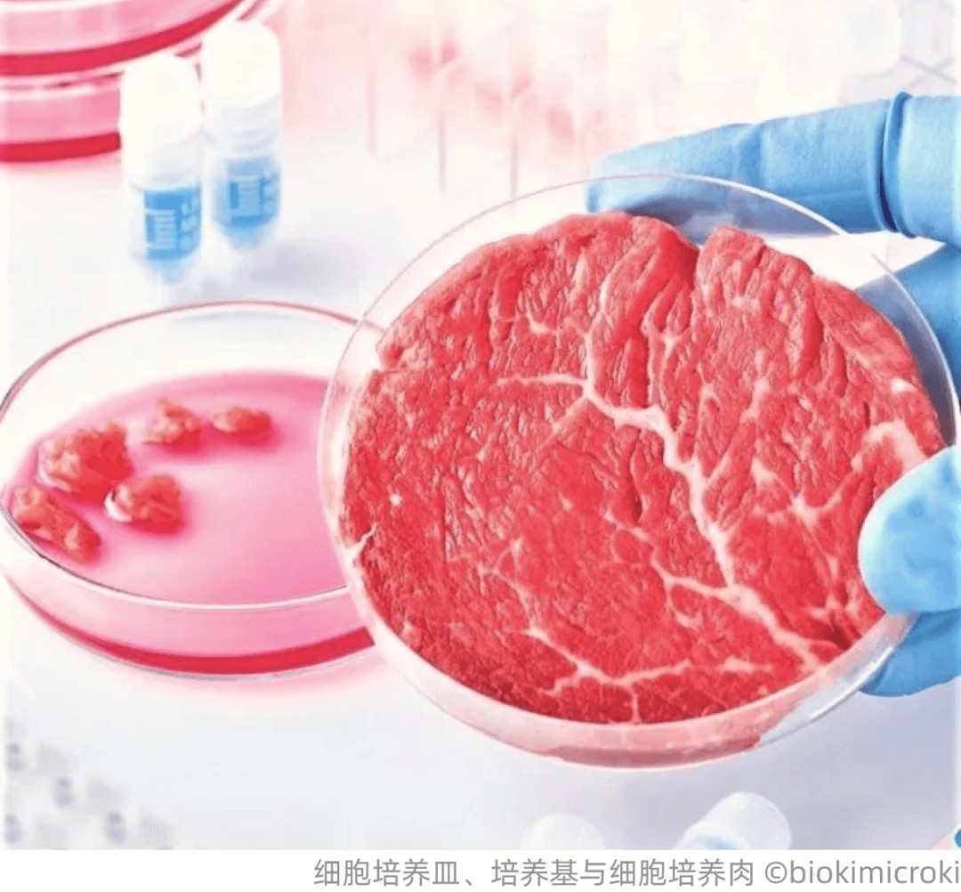 当我们投资细胞培养肉时我们在投资什么？(图4)