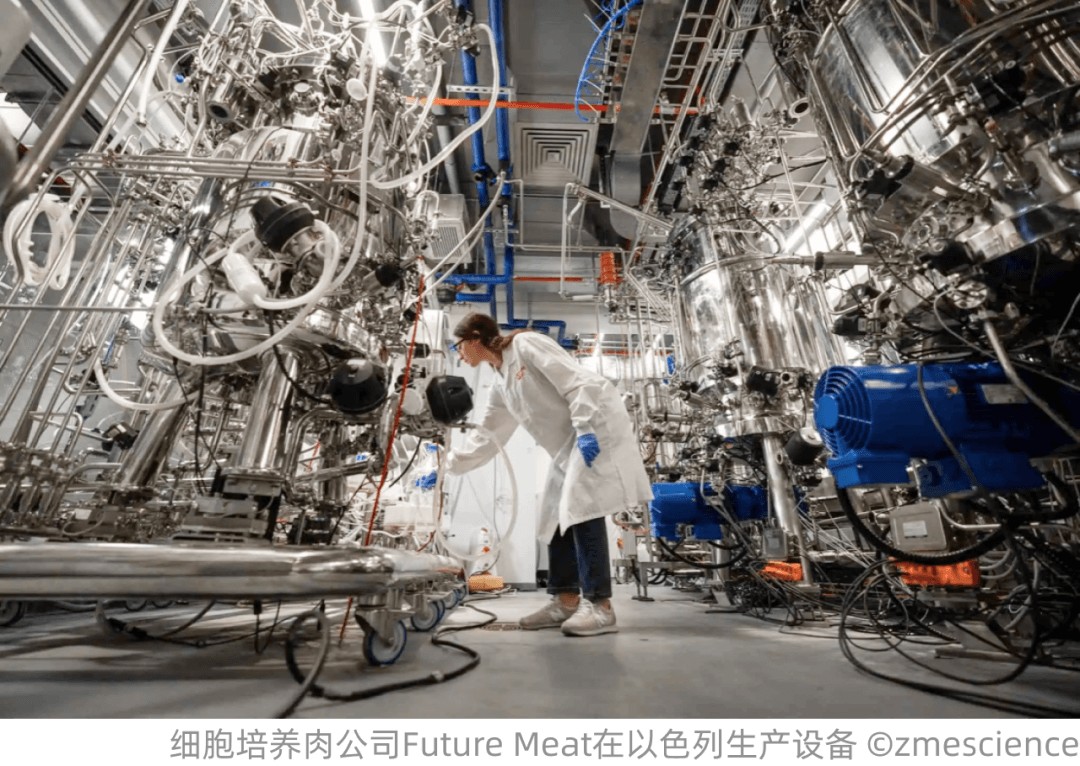 当我们投资细胞培养肉时我们在投资什么？(图3)