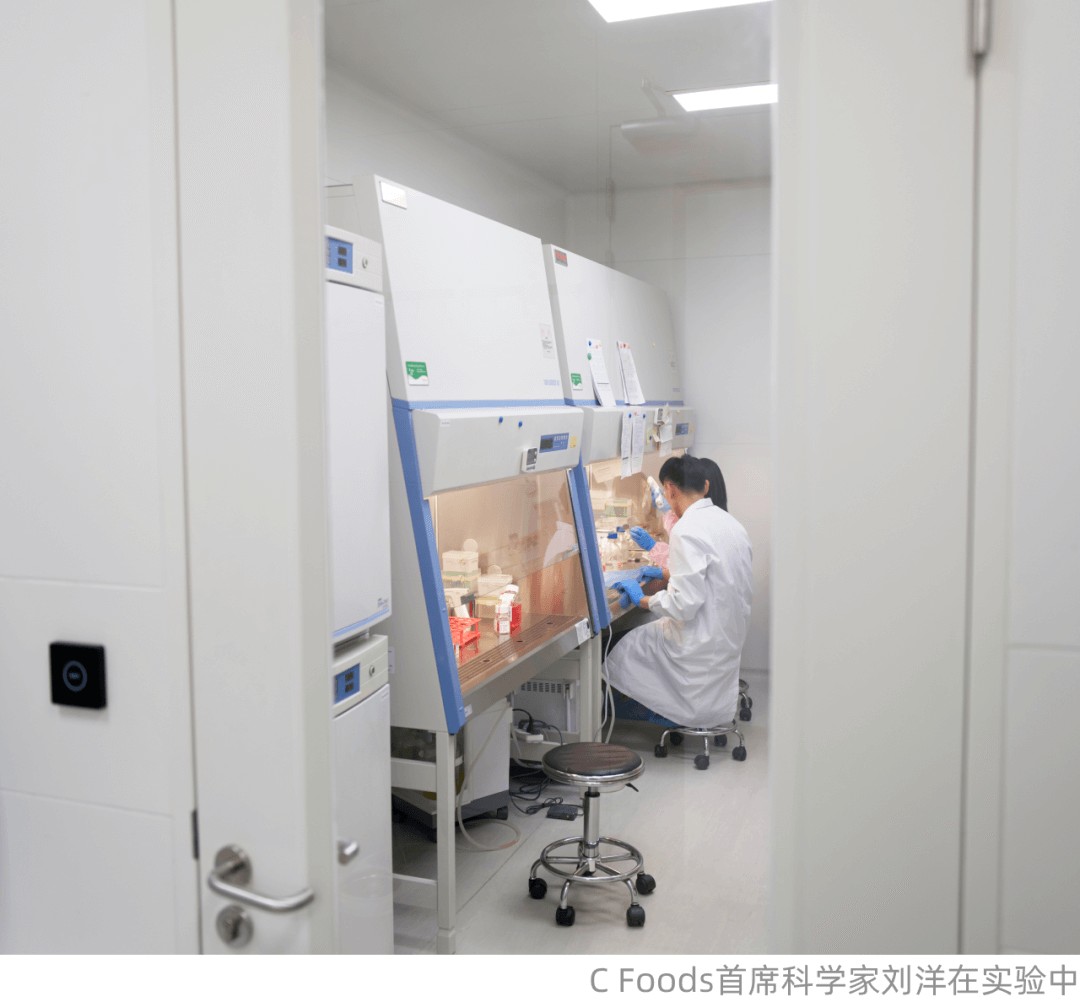 当我们投资细胞培养肉时我们在投资什么？(图6)