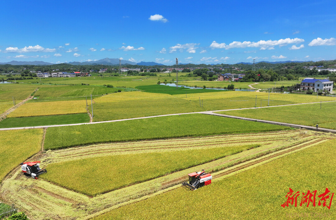 农业大省挺起“脊梁”——湖南上半年农业经济运行稳中向好