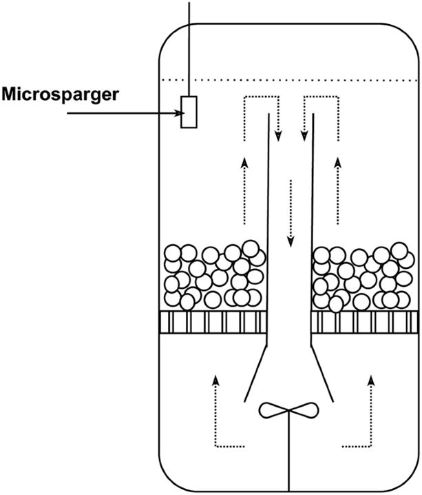 用于人造肉生产的生物反应器(图4)