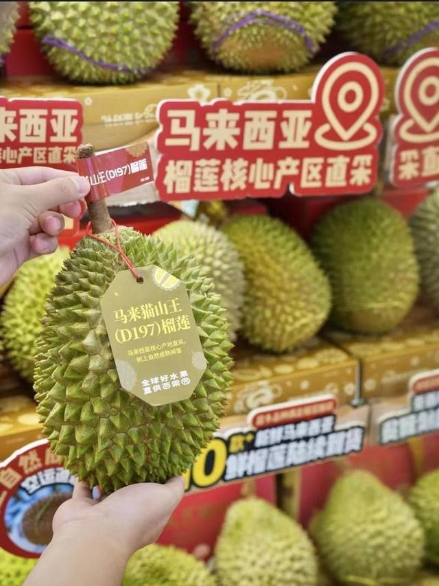 国产榴莲将破万吨！价格跌至10元东南亚榴莲霸主还能当多久？