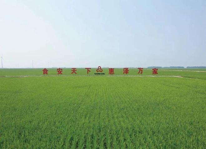 首农“十四五”答卷端牢“中国饭碗”守护美好生活