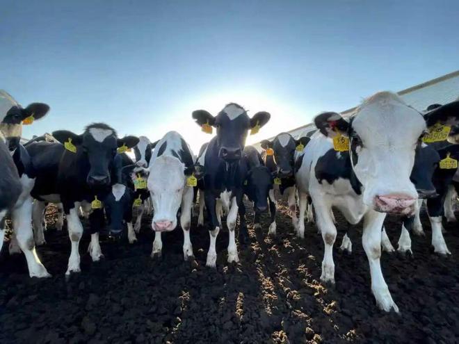 首农“十四五”答卷端牢“中国饭碗”守护美好生活(图4)