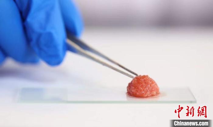 【新华网】中国科学家研发出肌肉干细胞培养肉