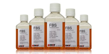 重磅人事！陆英明博士出任汉康-KY总裁兼CMO