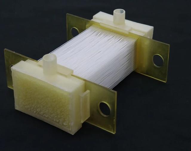 无中生肉？日本实验室培养出史上最大块人造鸡肉技术或可用于培育人造器官