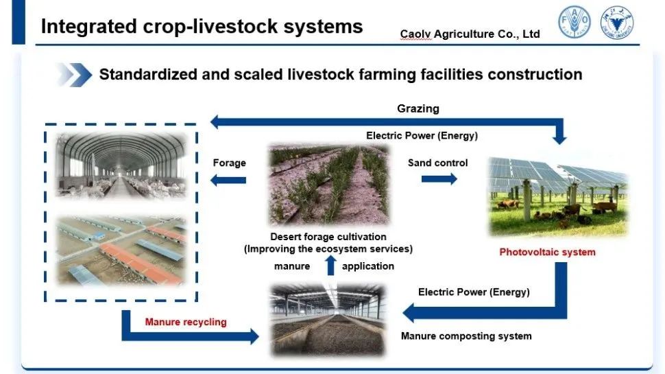 人造肉板块逆势上涨山东赫达领跑资金流向揭示市场动向！