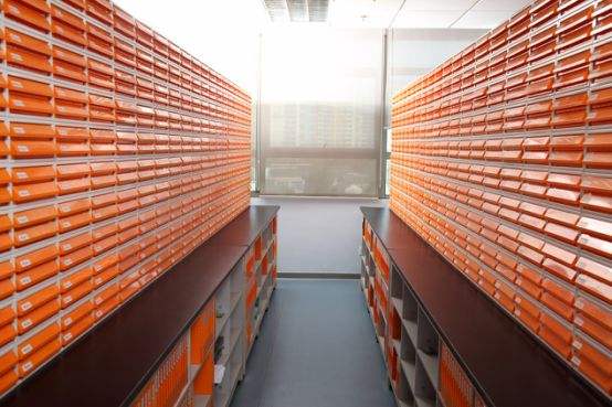 “贾宝玉”遭遇“不完美”村干部