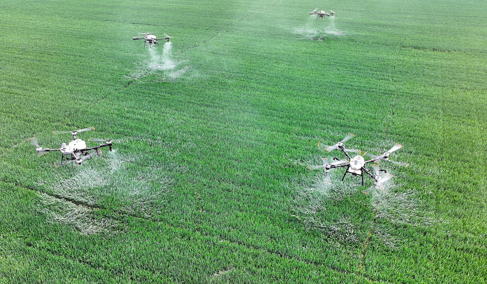 晶采观察丨“十五五”开局！新质生产力赋能中国农业现代化“智慧大升级”(图2)