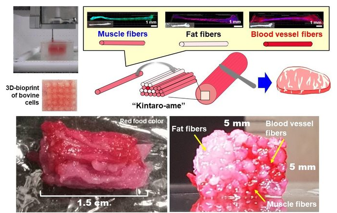 没有灵魂？日本科学家使用3D(图2)