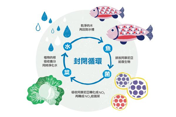 “构建多元化食物供给体系”大白话讲讲