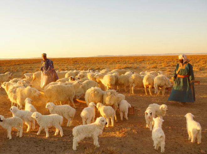 在人类被迫吃大蠊前我们打算问个为什么(图15)