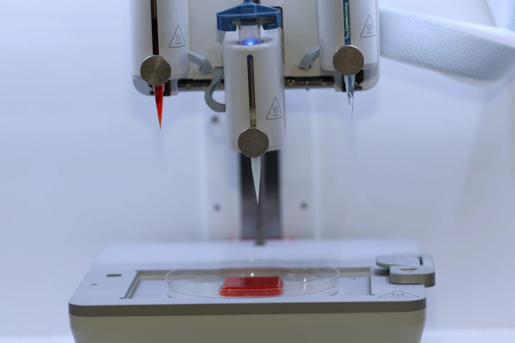 肉制品行业市场规模与发展前景深度解析