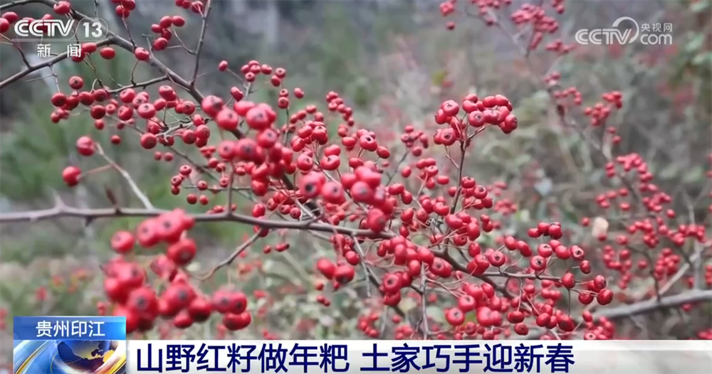 “年经济”消费新场景解锁“吃喝游购娱”沉浸式体验特色美食洋溢幸福感(图9)