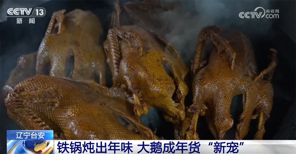 “年经济”消费新场景解锁“吃喝游购娱”沉浸式体验特色美食洋溢幸福感(图13)