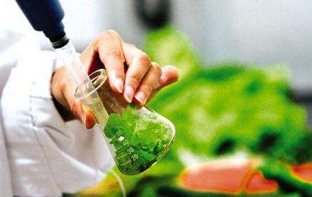 预制菜将迎首个国标吃得省心更安心！