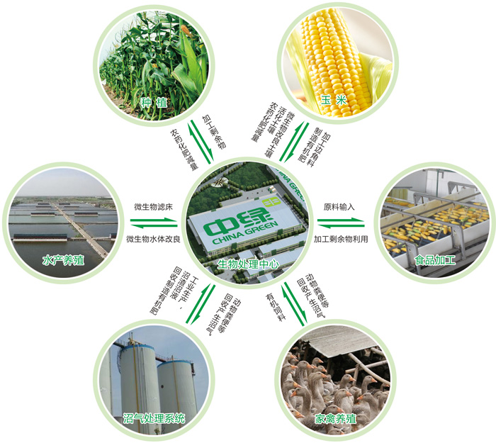 理论专刊｜发扬北大荒精神推进农业现代化