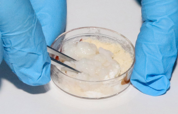 【震撼！】未来已来实验室里“种”出美味猪肉！细胞培养肉：在实