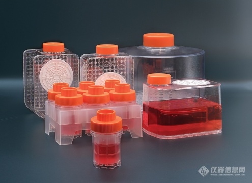 朗格生物技术申请用于诱导多能干细胞衍生内皮细胞生长培养基组合物专利促进间接触形成