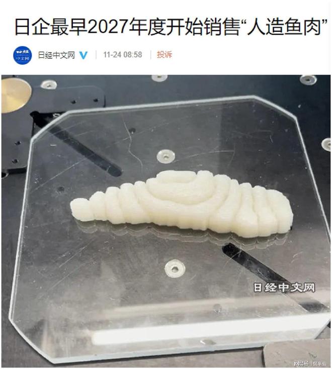 因水产资源可能出现短缺日本开始吹嘘的“人造鱼肉”。(图2)