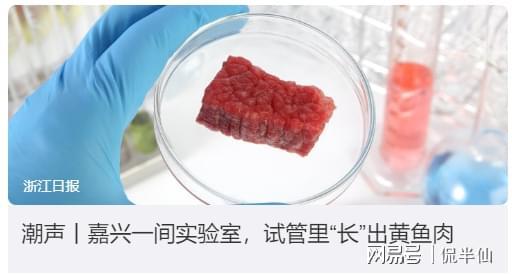 因水产资源可能出现短缺日本开始吹嘘的“人造鱼肉”。(图3)