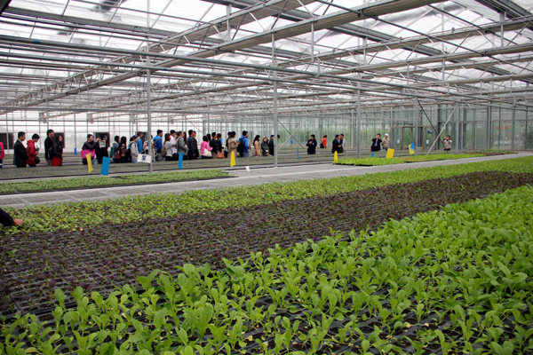 2026年综合农业行业发展现状分析及前景与趋势展望