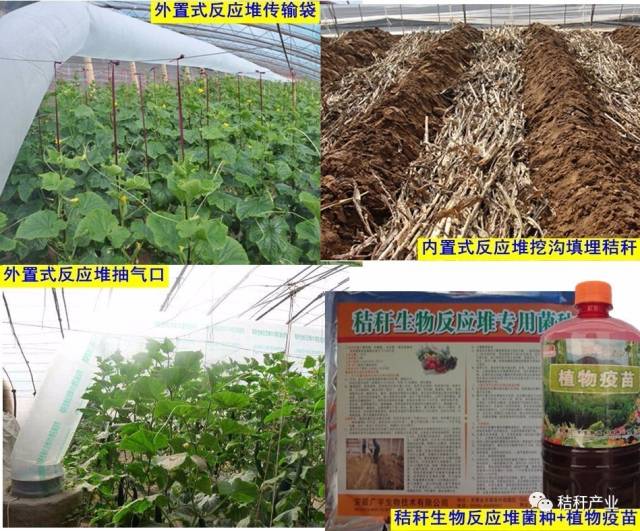 全国人大代表赵皖平：锚定供应链价值跃迁数实融合激活产业动能