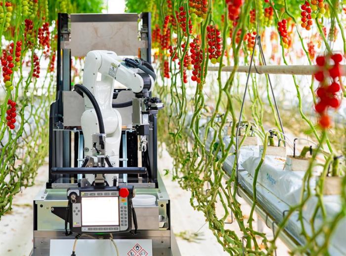 微生物菌剂：带领可持续农业新篇章