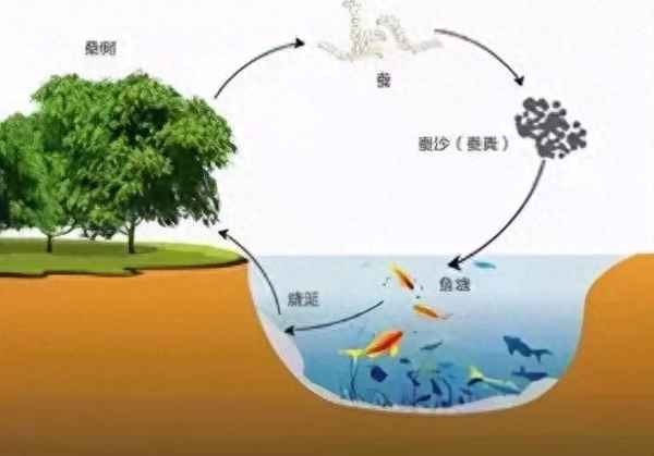广东会客厅｜专访壹号食品总裁黎小兵：以品质铸品牌以产业兴乡村