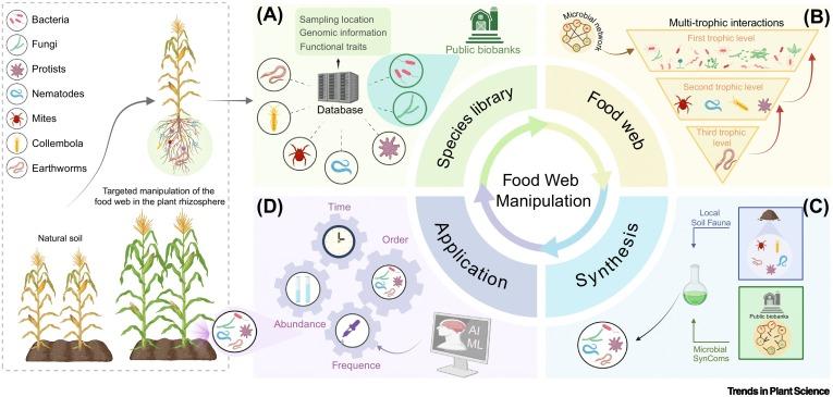 2026食品创新行业发展现状与产业链分析