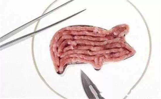 人造肉和真肉的区别你知道多少？