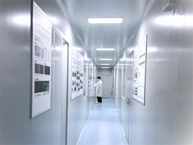 武汉云克隆：二十载匠心破局原代细胞培养难题赋能全球科研