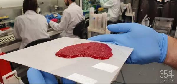 说说“人造肉”那些事