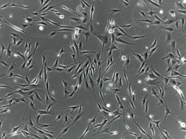 刘琳演技炸裂！《逐玉》这波操作直接封神