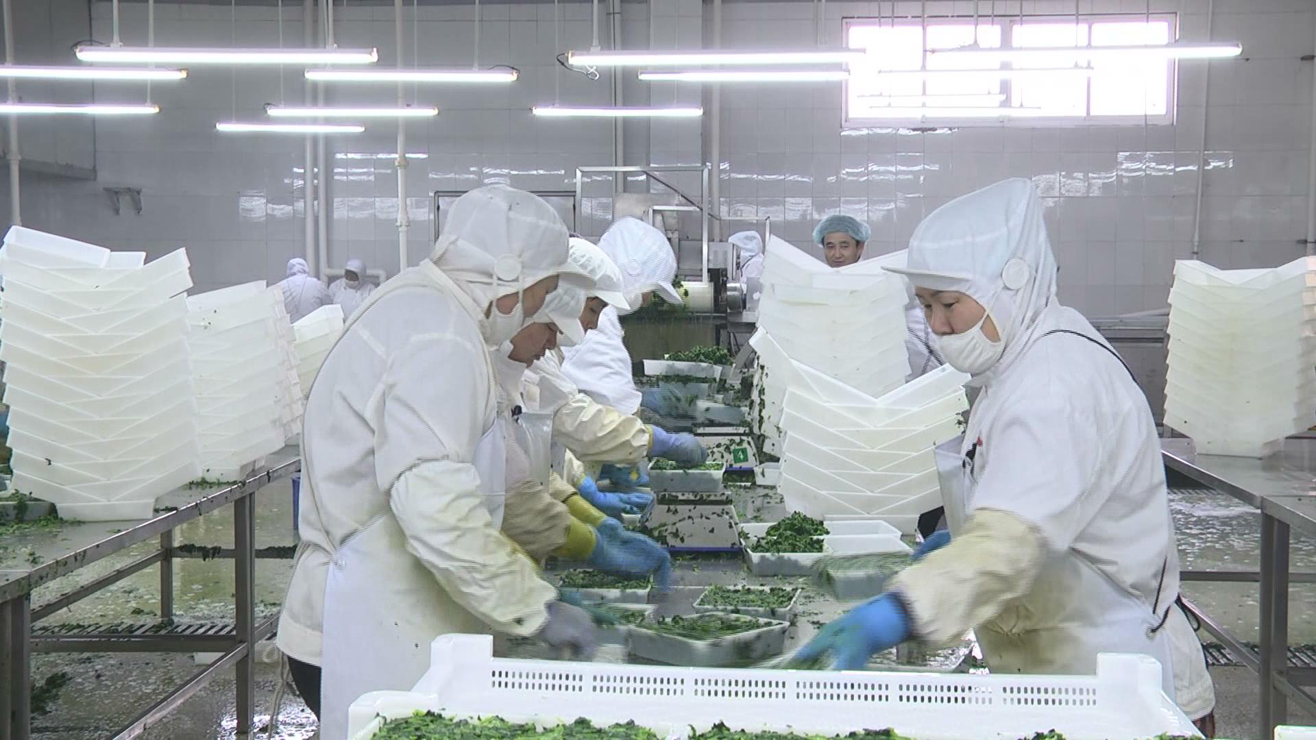 光伏技术有望重塑全球粮食供应韧性