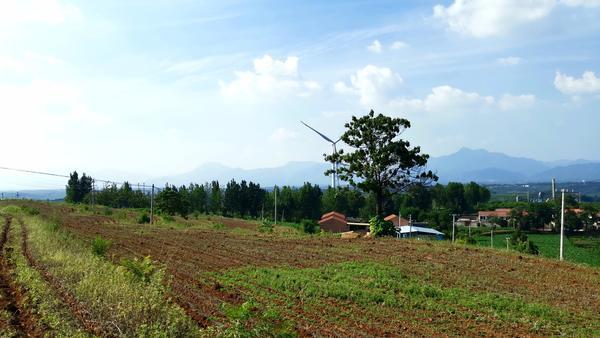降本增效稳住粮食生产基本盘