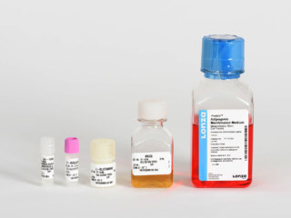 康珠生物取得细胞培养试剂盒专利通过设置卡块和卡环将试剂管固定在固定筒内部