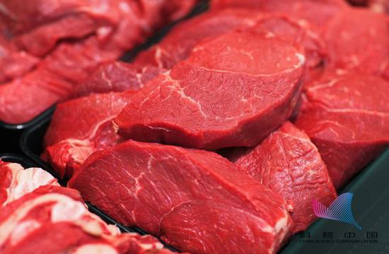 2026-2030年中国宠物食品行业市场深度分析及发展趋势预测